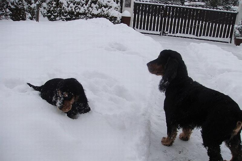 Art_25.1.2010 (15).JPG